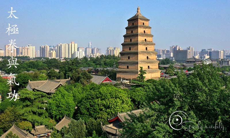 Spiralis Mirabilis - Rivista dedicata alle arti marziali cinesi e alla cultura tradizionale cinese con focus su Tai Chi QiGong e DaoYin