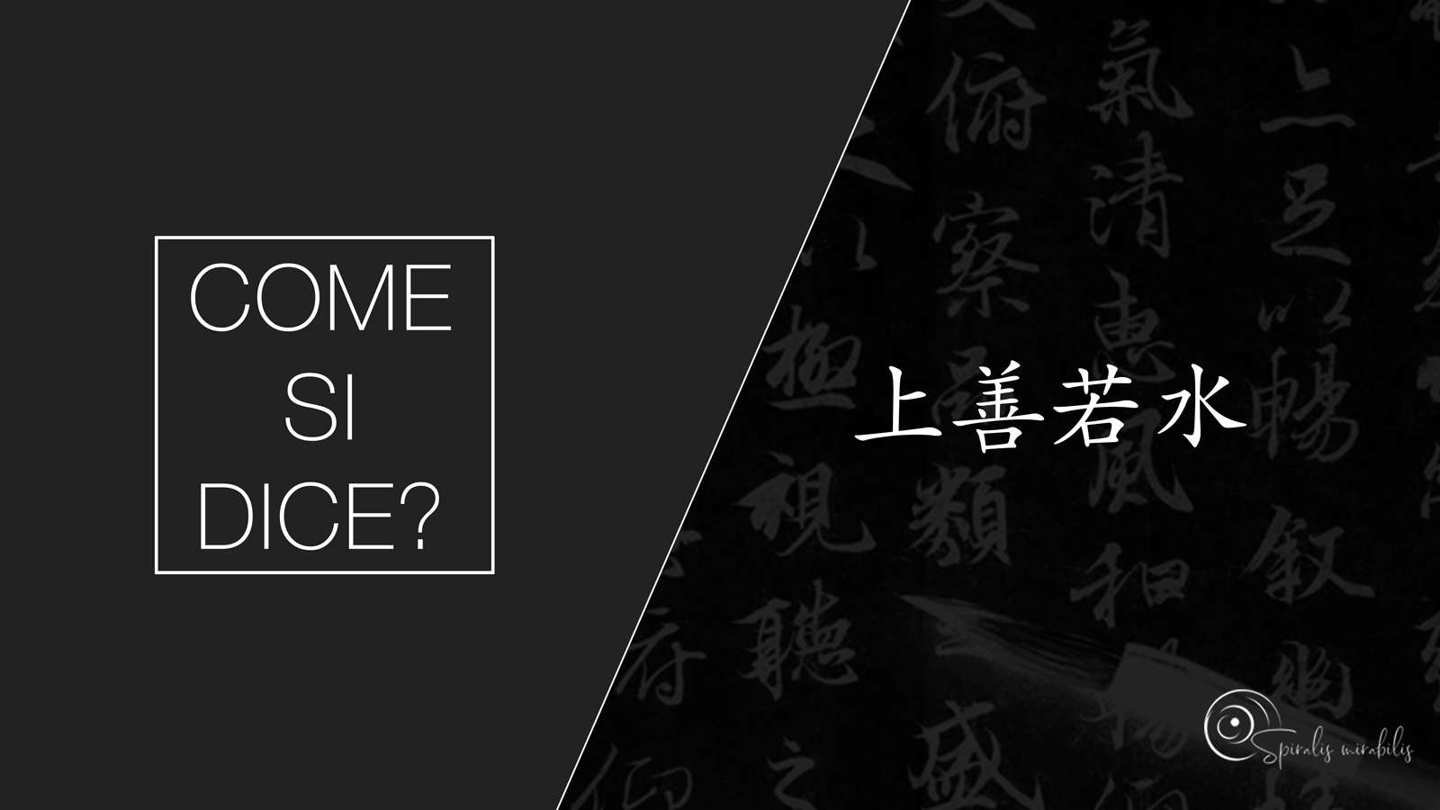 Spiralis Mirabilis - Rivista dedicata alle arti marziali cinesi e alla cultura tradizionale cinese con focus su Tai Chi QiGong e DaoYin