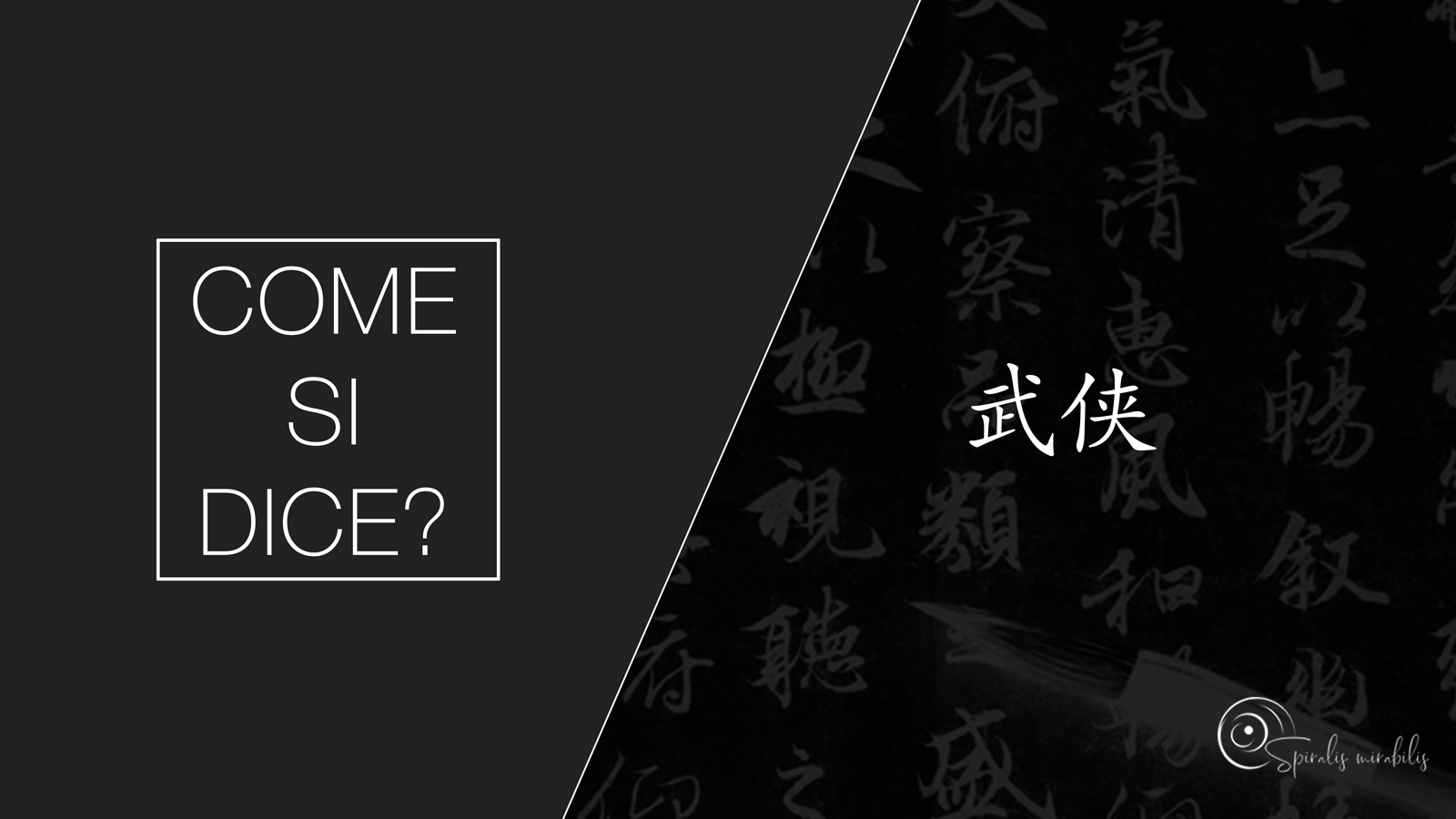 Spiralis Mirabilis - Rivista dedicata alle arti marziali cinesi e alla cultura tradizionale cinese con focus su Tai Chi QiGong e DaoYin